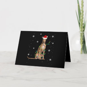 Cartão De Festividades Luz de Natal Whippet Fofo Papai Noel Whippet Natal