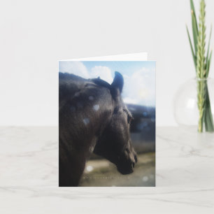 Cartão De Festividades Luz solar - Notecard