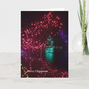 Cartão De Festividades Luzes Brilhantes em um Jardim Botânico