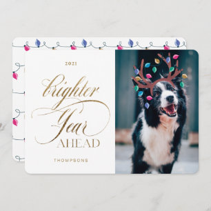 Cartão De Festividades Luzes de Rebelde Fotográficas de Reprodução de Pet