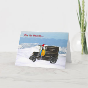 Cartão De Festividades Macaw Holiday Delivery
