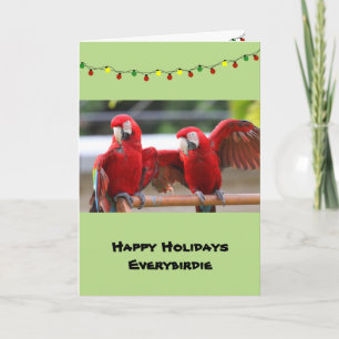 Cartão De Festividades Macaw Pals Christmas Card, envelopes included