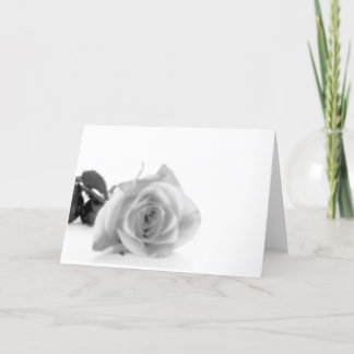 Cartão De Festividades Macia o amor vem