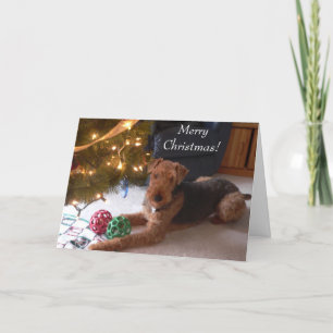 Cartão De Festividades Maddie says, "Merry Christmas!"