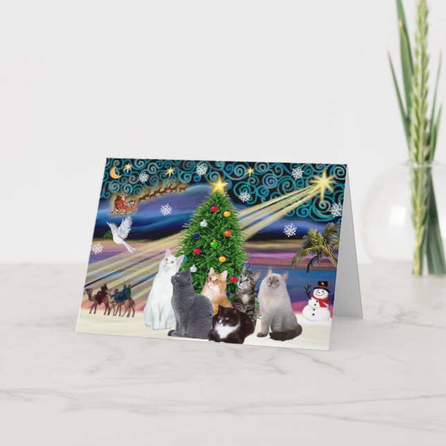 Cartão De Festividades Magia de Natal - Seis gatos (variedade) (Frente)