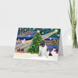 Cartão De Festividades Magia de Natal Terra Nova (Landseer)