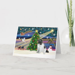 Cartão De Festividades Magia de Natal-Terra Nova-Landseersit
