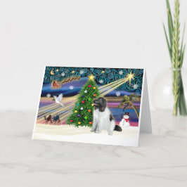 Cartão De Festividades Magia de Natal-Terra Nova-Landseersit
