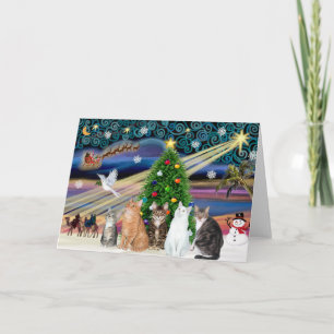 Cartão De Festividades Mágica Xmas - Cinco gatos (AmSH)