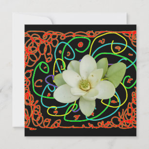 Cartão De Festividades Magnólia Sweetbay (Magnolia virginiana) 