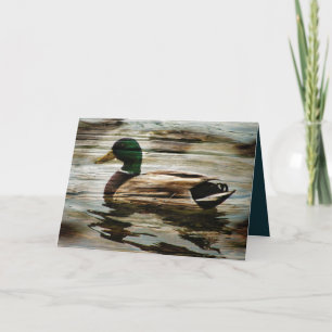 Cartão De Festividades Mallard Duck
