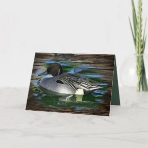 Cartão De Festividades Mallard Duck No Lago