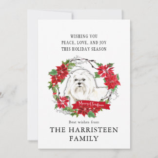 Cartão De Festividades Maltês Watercolor Poinsettia Natal