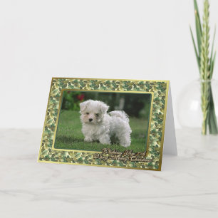 Cartão De Festividades Maltese Puppy Blank Christmas Card