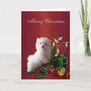 Cartão De Festividades Maltese Puppy Dog Christmas