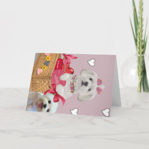 Cartão De Festividades Maltese Valentine Art