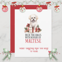 Maltese Whimsical Christmas |