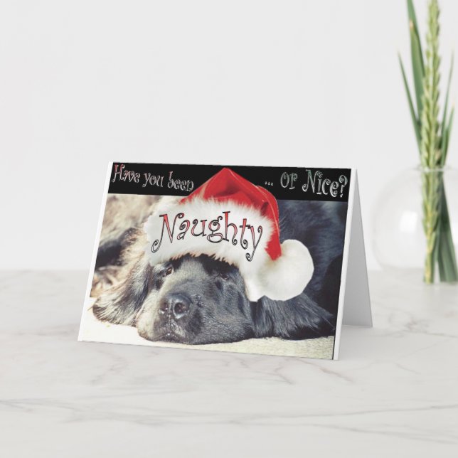 Cartão De Festividades Malvado (Frente)