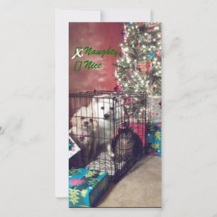 Cartão De Festividades Malvado ou legal