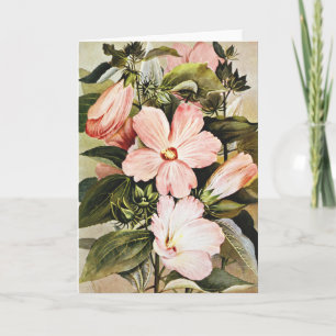 Cartão De Festividades Malvas de Flores Silvestres em Aquarela Vintage