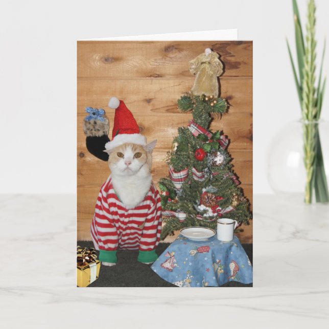 Cartão De Festividades Manhã de Natal engraçada do gato/gatinho (Frente)