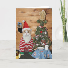 Cartão De Festividades Manhã de Natal engraçada do gato/gatinho