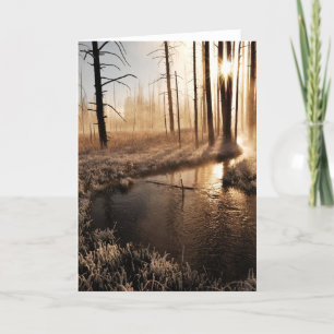 Cartão De Festividades Manhã Frosty Yellowstone