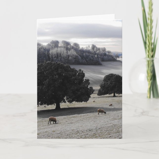 Cartão De Festividades Manhã gelada (Frente)