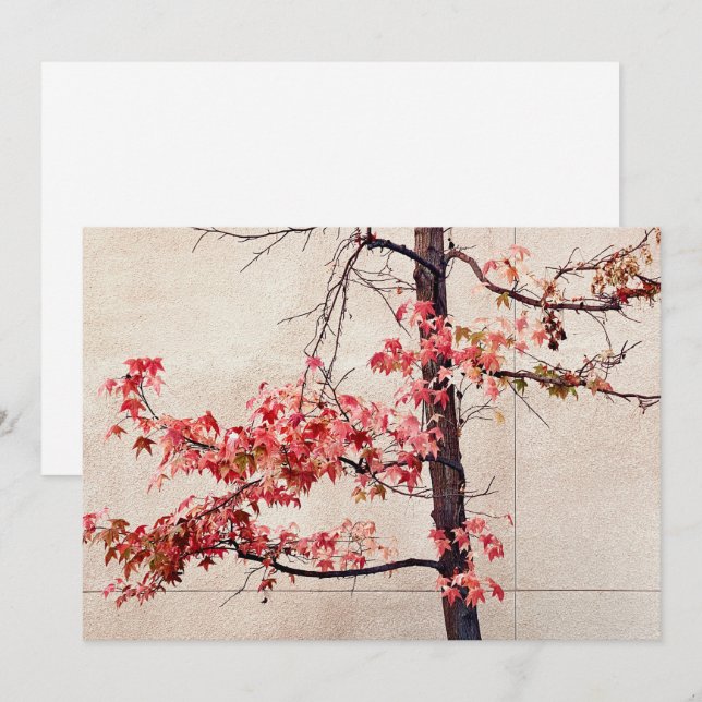 Cartão De Festividades Mapeamento (Frente/Verso)