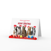 Marido, gatos com chapéus de Natal