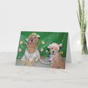 Cartão De Festividades Mary Had a Little Golden for Easter