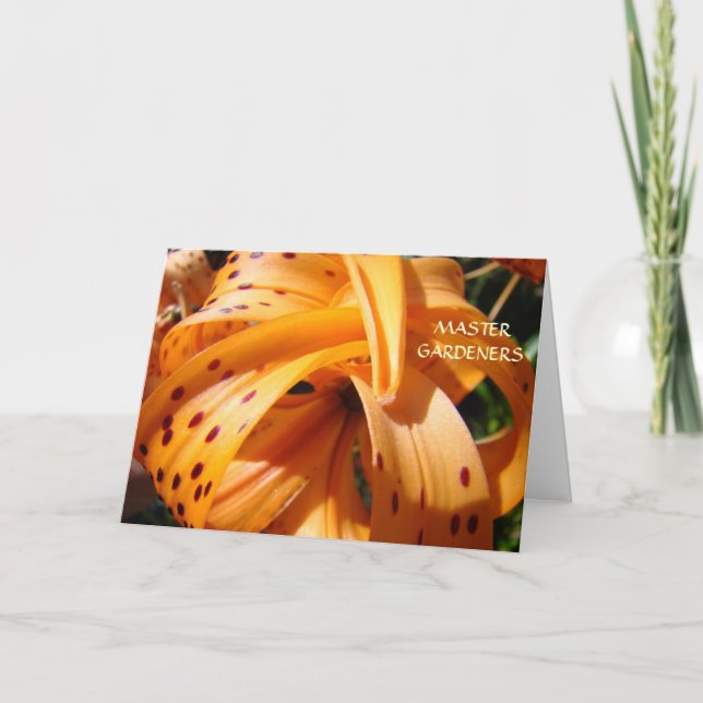 Cartão De Festividades MASTER GARDENERARES Criando Belas Cartas Mundiais (Frente)