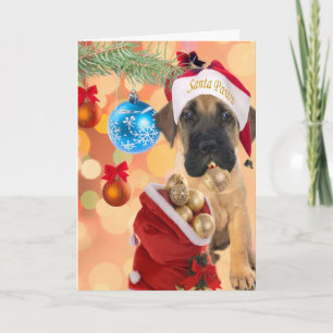 Cartão De Festividades Mastiff Puppy Feliz Natal