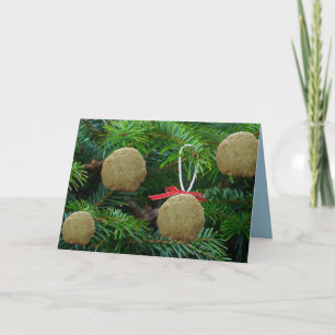 Cartão De Festividades Matzoh Ball Ornaments na Árvore de Natal - Hanuka