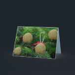 Cartão De Festividades Matzoh Ball Ornaments na árvore de Natal - Hanukah<br><div class="desc">Matzoh Balls na Árvore de Natal - Cartões de Cartões de natal engraçados - Risos,  Humor,  Engraçado</div>