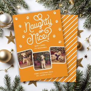 Cartão De Festividades Mau ou Bonito Funny Cute Pet Cão Gato 3 Foto 