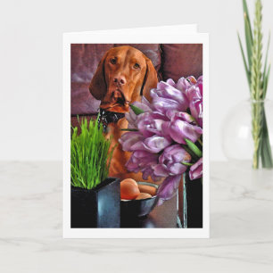 Cartão De Festividades May I have one of those eggs?