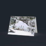 Cartão De Festividades Mayflower II, Plymouth, MÃES<br><div class="desc">Nos últimos anos,  Mayflower II estêve para fora para a manutenção.  Isto foi tomado durante um dos anos em que permaneceu entrada no cais em Plymouth,  Massachusetts do estado.</div>