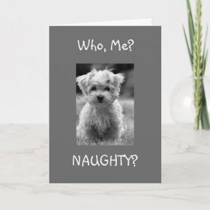 CARTÃO DE FESTIVIDADES ME NAUGHTY? IF U WANT ME TO BE CHRISTMAS