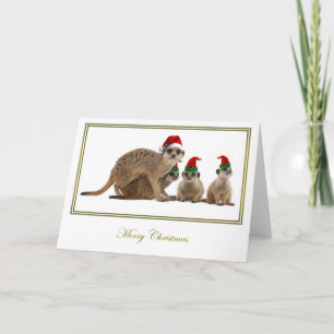 Cartão De Festividades Meerkat Christmas 3