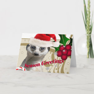Cartão De Festividades Meerkat Christmas Cards