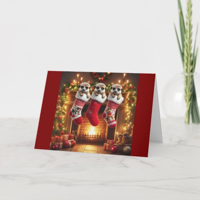 Cartão De Festividades Meerkat Christmas Stockings Holiday Card (Frente)