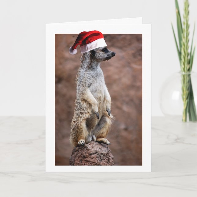 Cartão De Festividades MeerKat de Natal (Frente)