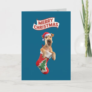 Cartão De Festividades Meia de Natal Airedale