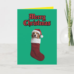 Cartão De Festividades Meia de Natal de Beagle