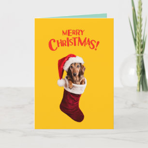 Cartão De Festividades Meia de Natal de Dachshund