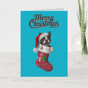 Cartão De Festividades Meia de Natal do Boston Terrier