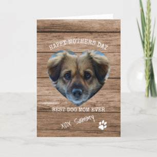 Cartão De Festividades Melhor Mãe de Cachorro de Todos os Tempos Foto Dia