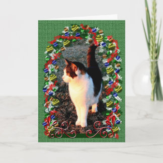 Cartão De Festividades Mensagem de Natal de Natal de Kitten Natal