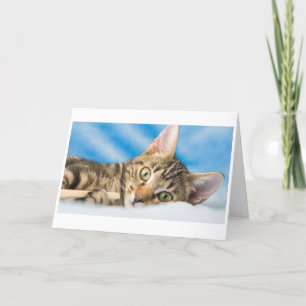 Cartão De Festividades Meow Meow Cat